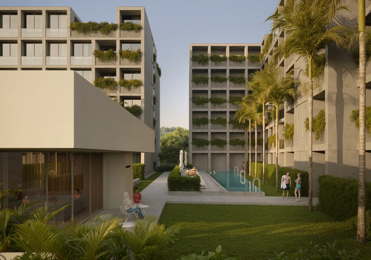 Serene Layan &amp; Terra Grove