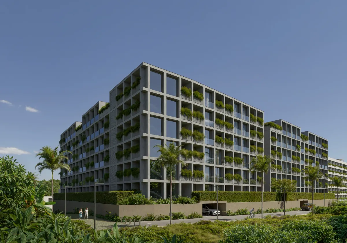 Serene Layan &amp; Terra Grove