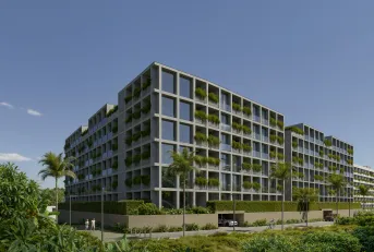 Serene Layan &amp; Terra Grove