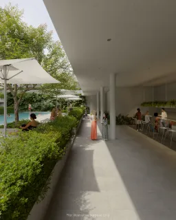 Serene Layan &amp; Terra Grove