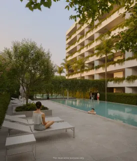 Serene Layan &amp; Terra Grove